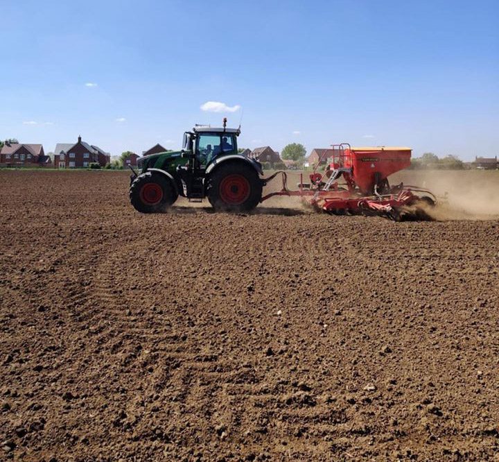 Soya Bean drilling in Buckinghamshire