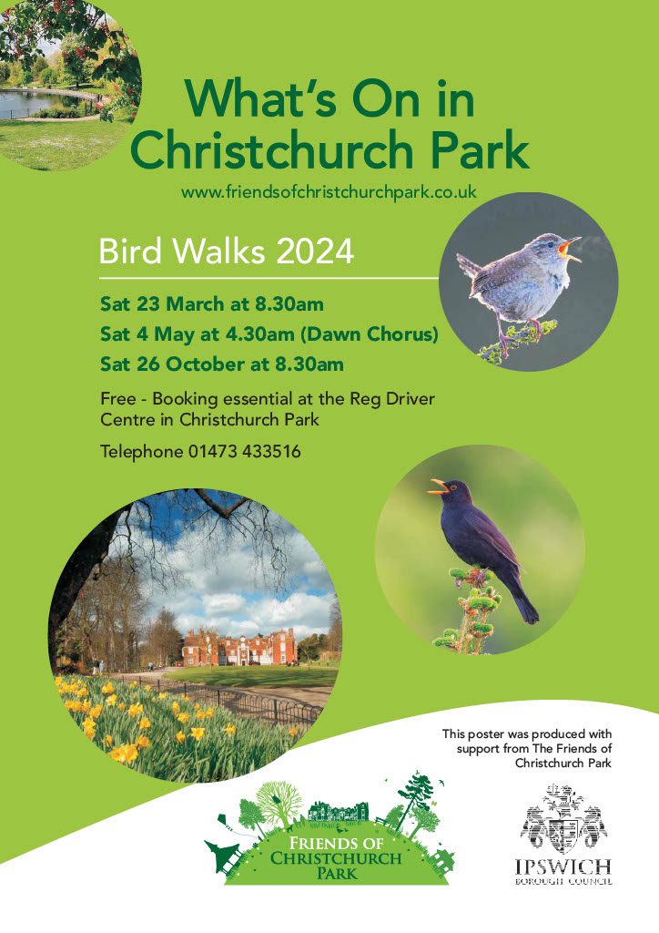 Bird Walks Christchurch Park