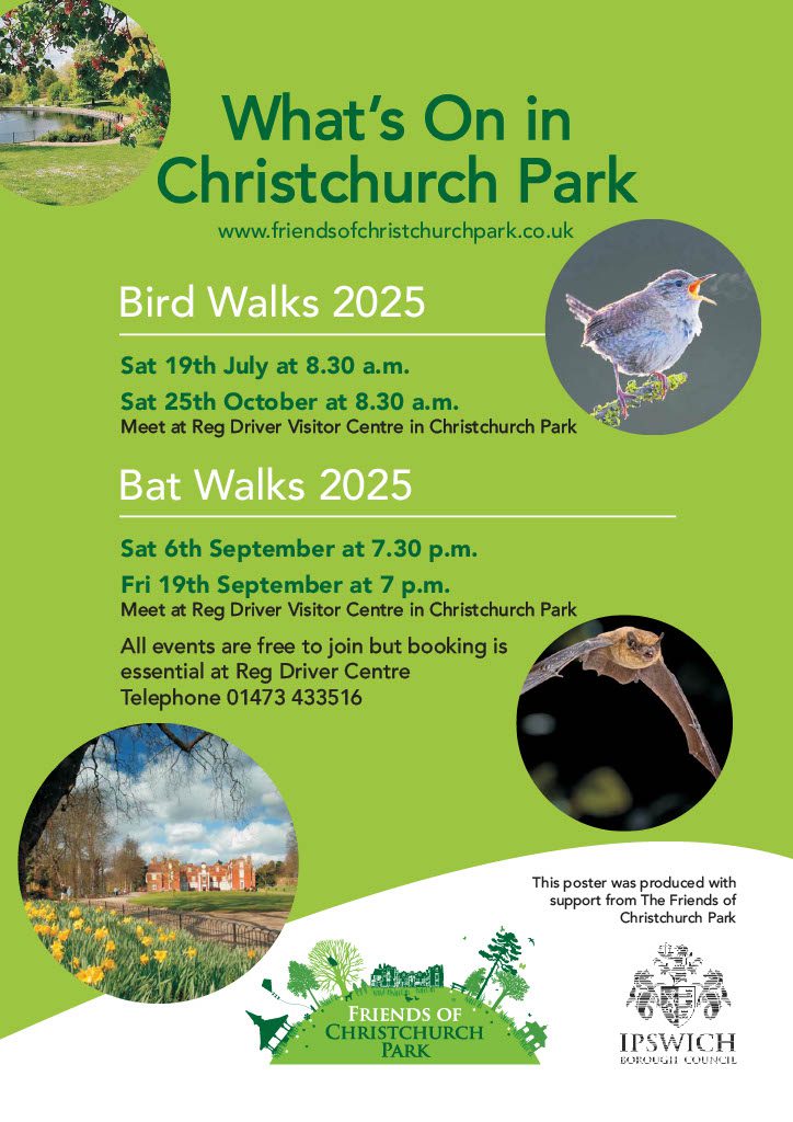 Bird and Bat Walks Christchurch Park